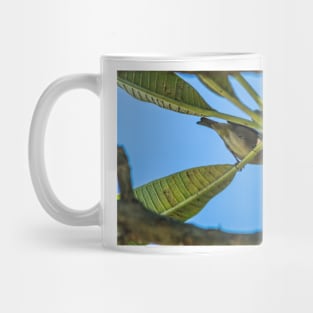 japanese white eye 22 Mug